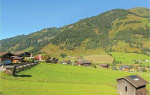 a village on a green field with a mountain at Beautiful Apartment In Rauris With 4 Bedrooms And Internet in Rauris