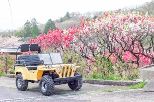 Foto de la galería de グランピング　星が見の杜 en Nakatsugawa