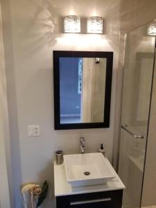 uma casa de banho com um lavatório, um espelho e um chuveiro em Nice and cozy. Sleeps 5. em Chicago