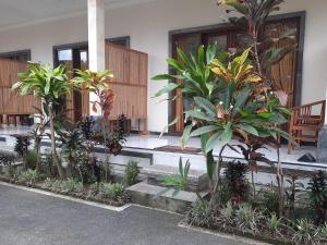 Zahrada ubytování Guest House Sudara