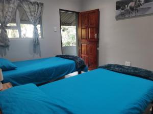 聖約翰斯港的住宿－Amapondo Backpackers Lodge，客房设有两张床和窗户。