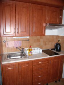 Kuchyň nebo kuchyňský kout v ubytování Apartments Sunce