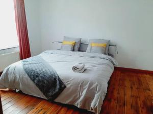 布鲁塞尔Evere house的卧室里有一张铺着木地板的大床