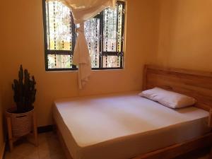 Bett in einem Zimmer mit 2 Fenstern in der Unterkunft Avacado Homestay in Arusha