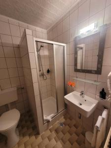 a bathroom with a shower and a sink and a toilet at brandgut - vor Freude glühen in Viehhofen