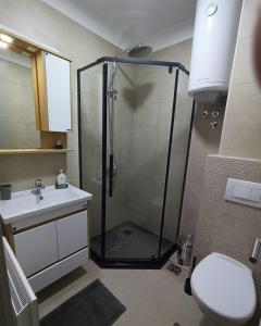 La salle de bains est pourvue d'une douche, de toilettes et d'un lavabo. dans l'établissement Kopaonik Apart Bela Reka Brzece, à Brzeće