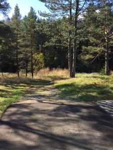 Przyroda w pobliżu tego apartamentu