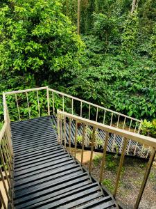 a wooden walkway with a wooden fence and trees at The Last Try - Secret Ashram Coorg in Siddapur