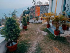 a group of potted trees inront of a building at Ratan Homestay in Shivpuri
