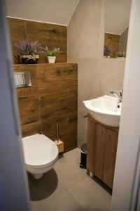 ein Bad mit einem WC und einem Waschbecken in der Unterkunft ZACISZE W MIEŚCIE in Ustrzyki Dolne