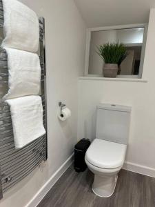 a bathroom with a toilet and a mirror and towels at 2 bedroom modern flat in Romsey in Romsey