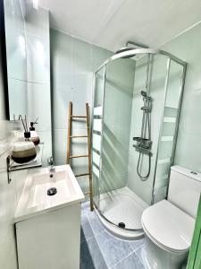 マドリードにあるAcogedor apartamento en el Centro de Madridのバスルーム(シャワー、トイレ、シンク付)