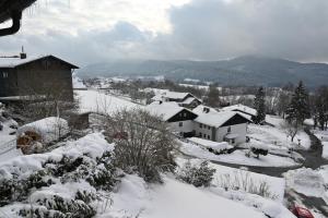 a village covered in snow with houses and trees at Pension Klein in Bodenmais