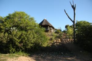 a house on top of a hill with trees at Garden Route Safari Camp in Mossel Bay