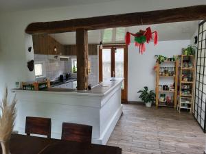 a kitchen with a counter and a counter top at Maison familiale au calme in Le Blanc-Mesnil