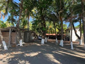 拉列伯塔的住宿－Casa GaNiMo - propiedad privada, frente al mar，一群棕榈树在一座建筑前