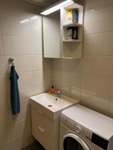 ein Badezimmer mit einer Waschmaschine und einem Waschbecken in der Unterkunft Apartment Grønlid in Rauland