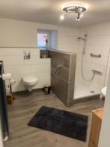 a bathroom with a shower and a toilet and a sink at Dhrontalstube in Gräfendhron