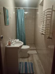 ein Bad mit einem Waschbecken, einem WC und einer Dusche in der Unterkunft U Gabrysia i Tatiany in Ustrzyki Górne