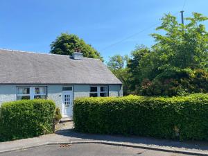 a blue house with a hedge in front of it at Houghton Park Holiday Cottage in Newcastleton