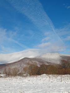 ein schneebedecktes Feld mit einem Berg im Hintergrund in der Unterkunft U Gabrysia i Tatiany in Ustrzyki Górne