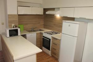 a small kitchen with white appliances and wooden walls at Suterénový apartmán v centre in Piešťany