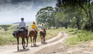 three people riding horses down a dirt road at Essy's Furnished Homes Nakuru with pool & GYM in Nakuru