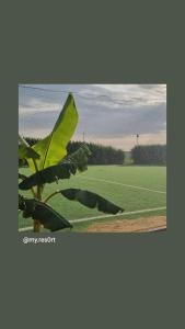 a view of a soccer field with a green field at My Resort in Al Rahba