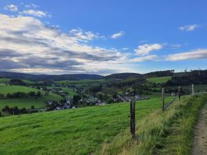 una colina verde con una valla y un pueblo a lo lejos en Tinyhouse Heimatglück, en Bad Berleburg