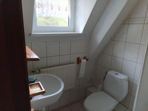 uma casa de banho com um WC e um lavatório em Willa Pałacyk em Świeradów-Zdrój
