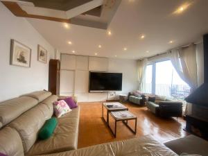 sala de estar con sofá y TV de pantalla plana en Agrovillaujue apartamentos rurales, en Ujué