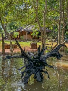 a fallen tree in the water with a house in the background at Glimra eco lodge in Hambegamuwa