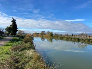 Imagen de la galería de T3 bord canal du midi, piscine, en Homps