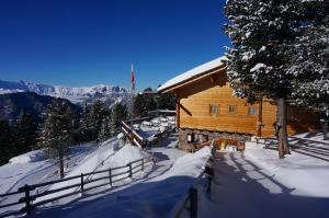 domek z bali w górach ze śniegiem na ziemi w obiekcie Chalet da mont Resciesa w mieście Ortisei