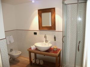 a bathroom with a sink and a toilet and a mirror at Chalet da mont Resciesa in Ortisei