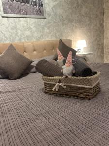 una cama con dos animales de peluche sentados sobre almohadas en CASA DI MANU e DADO, en Vimodrone