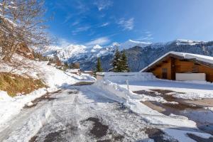 a road covered in snow next to a cabin at Chalet Coelacanthe in La Clusaz