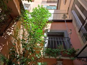 an apartment building with a balcony with plants at La Grotta del Leone in Potenza