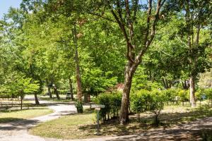 un camino en un parque con un banco y árboles en Camping les Rives du Lac de Vinça, en Vinça