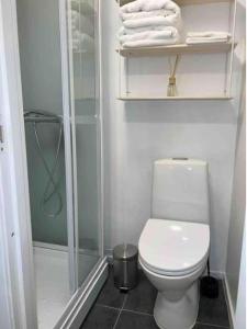 a small bathroom with a toilet and a shower at Sentral leilighet i Gamle Oslo in Oslo