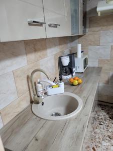 a kitchen counter with a sink and a microwave at Casa Cărbunaru in Tîrgu Ocna +97 photos