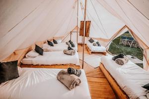 a group of four beds in a tent at Lodg'ing Nature Camp Châteaux de la Loire in Cellettes