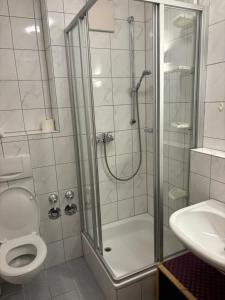 a bathroom with a shower and a toilet and a sink at Sonnenblick in Bad Tölz