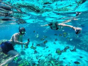 two people in the water looking at fish at Adi Guest house in Blongas
