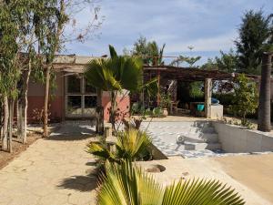 dom z palmą w ogrodzie w obiekcie La Maison Blanche w mieście Ndangane