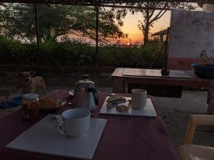 Una mesa con dos tazas de café y un perro sentado detrás. en La Maison Blanche en Ndangane