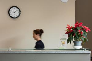 une femme debout derrière un comptoir avec une horloge et une plante en pot dans l'établissement Garden & City Mont-Ventoux Malaucène, à Malaucène