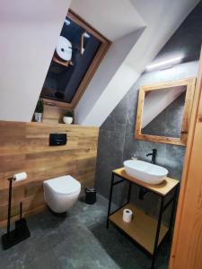 a bathroom with a white toilet and a sink at Przystanek Gorce in Nowy Targ