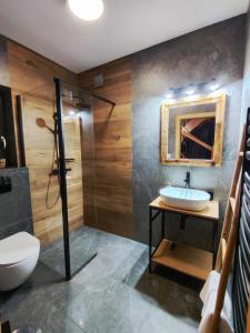 a bathroom with a toilet and a sink and a shower at Przystanek Gorce in Nowy Targ