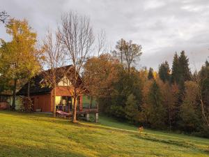 a house on a hill in a field at Przystanek Gorce in Nowy Targ